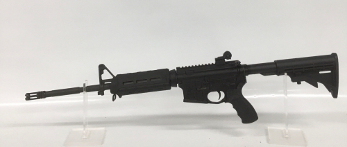 Terminal Performance Punisher X-15, multi-Cal Semi Automatic Rifle