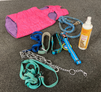 Assorted pet accessories