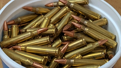 (250) .223 Winchester Ammo 55gr