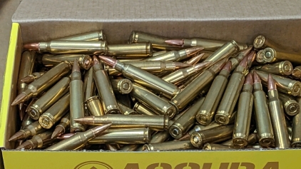 (240) Winchester .223 Ammo 62gr