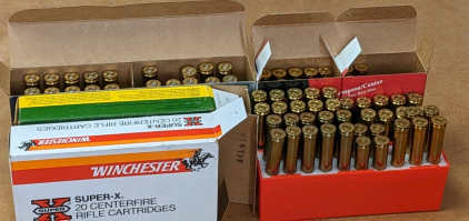 (49) .375 Ammo & (21) .375 Brass Casings