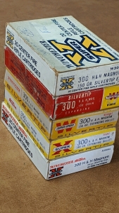 .300 H&H Magnum Ammo