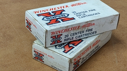 Winchester .303 Savage Ammo & Casings