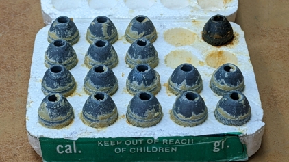 (17) .54cal Muzzleloading Bullets