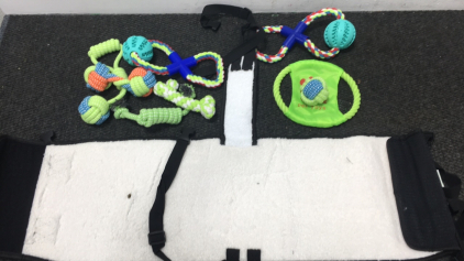 Dog Harness Hip Support and Toys