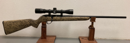 Stevens .22 Cal Bolt Action Rifle — NVSN