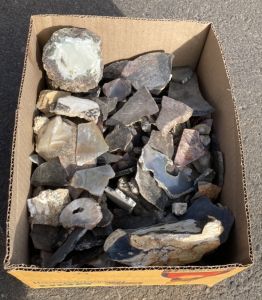 Box Of Collected And Slabbed Rock Specimens