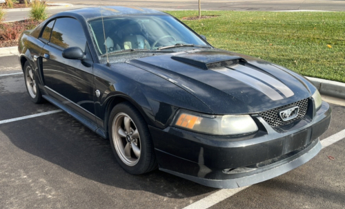 2004 Ford Mustang - Clean!