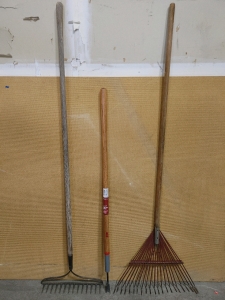 (2) Rakes & Lawn Weeder