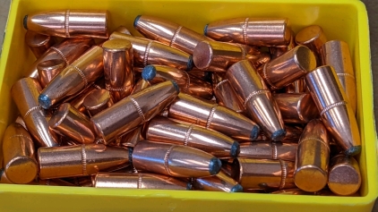 (10) Speer 32cal Bullets