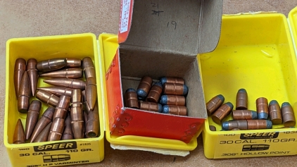 (52) Assorted Bullets