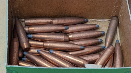 (30) Sierra 7mm Bullets