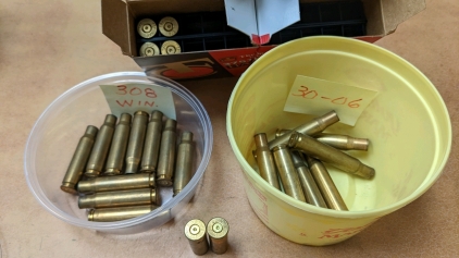 (23) Assorted Brass Casings
