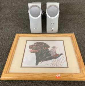 Bose Speakers And Painting