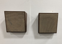 (2) Angled Wall Speakers