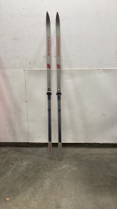 Cross Country Skis