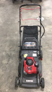 A Blackmax Lawn Mower by Briggs and Stratton