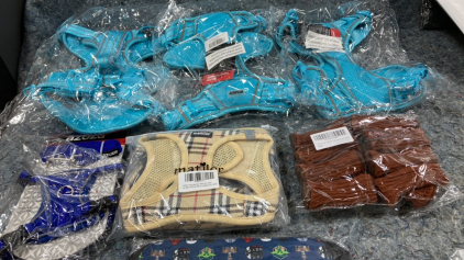 (6) Harnesses, Shorts, Kids Bags and more