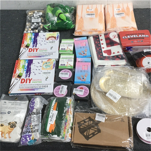 (2) DIY Digital Painting Kit, (2)Nausea Bands, Waterproof Pet Socks And More!