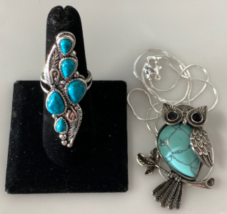 Turquoise Owl Necklace and Size 6 Long Ring