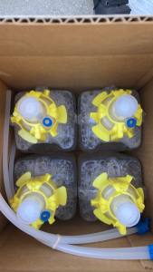 (4) Box of Waxie Green Mount Foam Handwashers