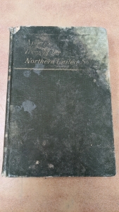 1892 Book "Trees of the Northern United States" by Austin C. Apgar
