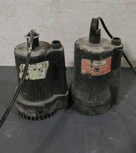 (2) Water Pumps