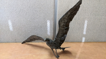 29" Wingspan Bronze Osprey