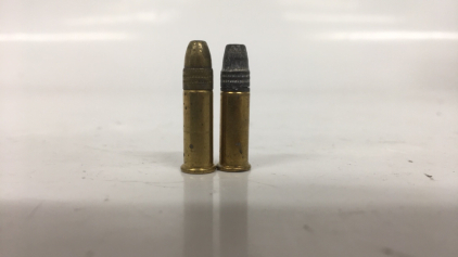 .22 Live Rounds
