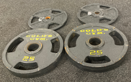 (4) Gold Gyms Weights