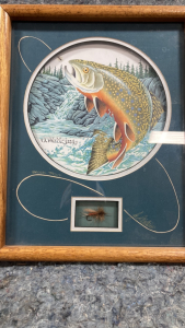 Brook Trout Shadow Box Picture
