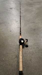 Daiwa Procaster Fishing Pole