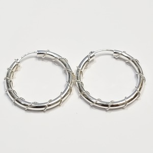 Silver Earrings