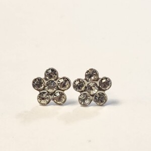 Silver Crystal Earrings