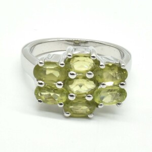 $320 Silver Peridot(2.75ct) Ring