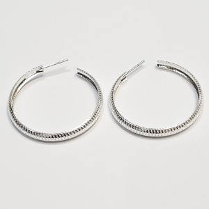 $100 Silver Earrings