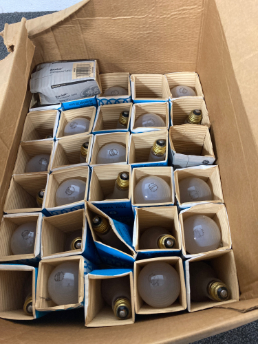 Box of Light Bulbs