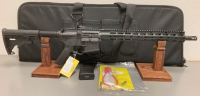 AR-15 .300 BLACKOUT WISE B-15 - 04405