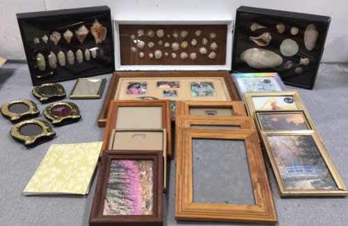 (3) Framed Seashells, (17) Various Sized Picture Frames, Small Photo Album