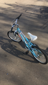 Novara 20&rdquo; Aluminum Frame 6-Speed Kids Mountain Bike