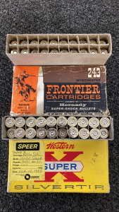 32 WIN SPL And 243 WIN Brass Casings