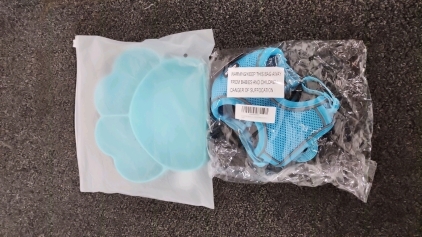 Silicon Dog Bowl & Small Dog Harness