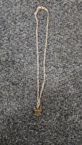 Gold Colored Necklace
