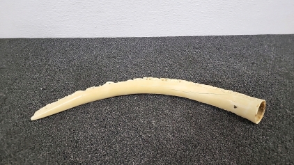 Decorative Carved Horn