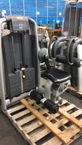 (1) TechnoGym Total Abdominal Weight Machine