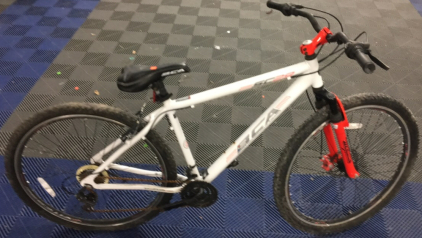 BCA 29er Front Suspension