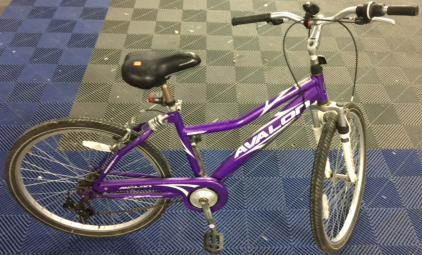Next 24&rdquo; Mountain Bike
