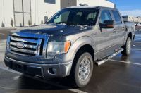 2009 Ford F-150 - 4x4 - Runs Well!