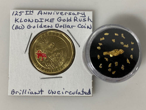 Alaska Gold Nuggets and Klondike Gold Rush Coin