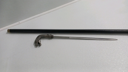 Dragon Handled Sword/ Cane